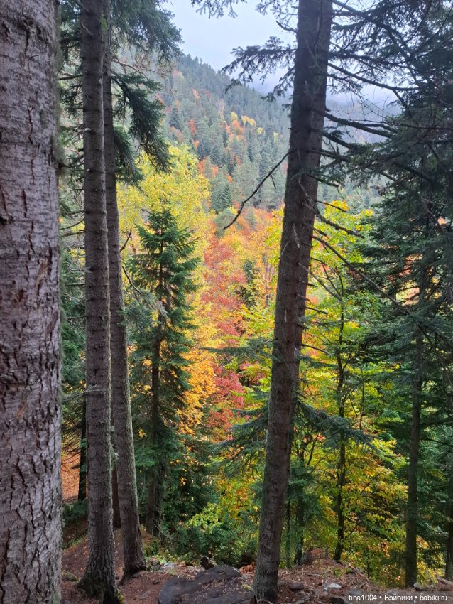 День длинных прогулок — Куклы Ruby Red (Руби Ред) Fashion Friends: Siblies