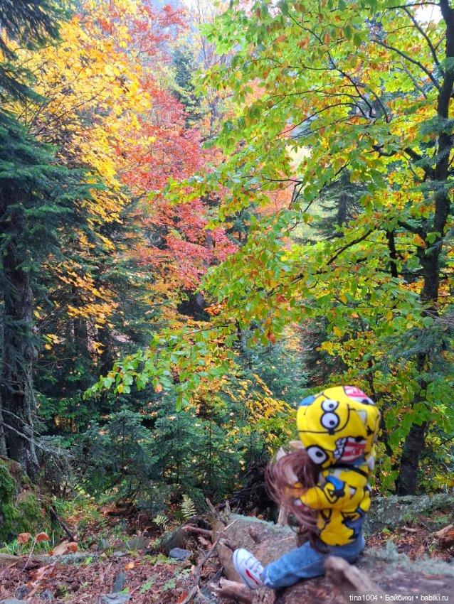 День длинных прогулок — Куклы Ruby Red (Руби Ред) Fashion Friends: Siblies