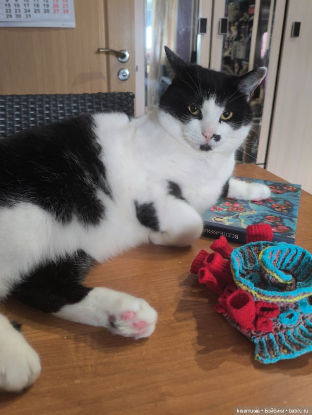 Вязанные кораллы — Другие хобби и увлечения: сад (фото 6)