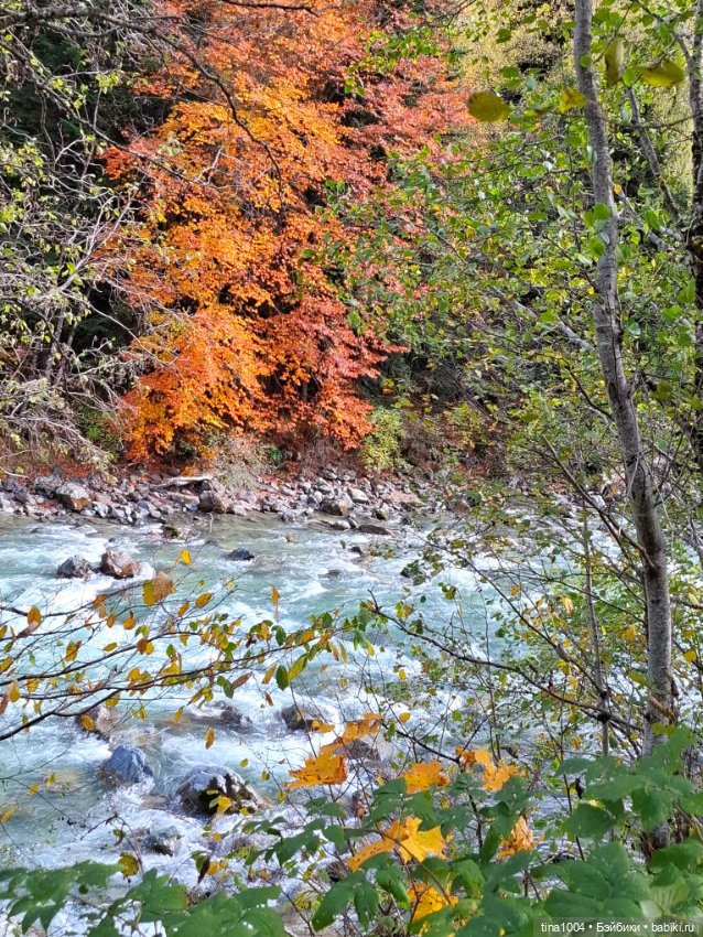 День длинных прогулок — Куклы Ruby Red (Руби Ред) Fashion Friends: Siblies (фото 6)