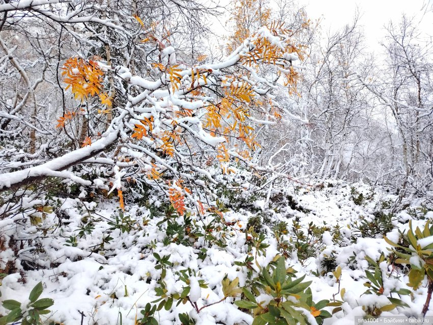 День длинных прогулок — Куклы Ruby Red (Руби Ред) Fashion Friends: Siblies