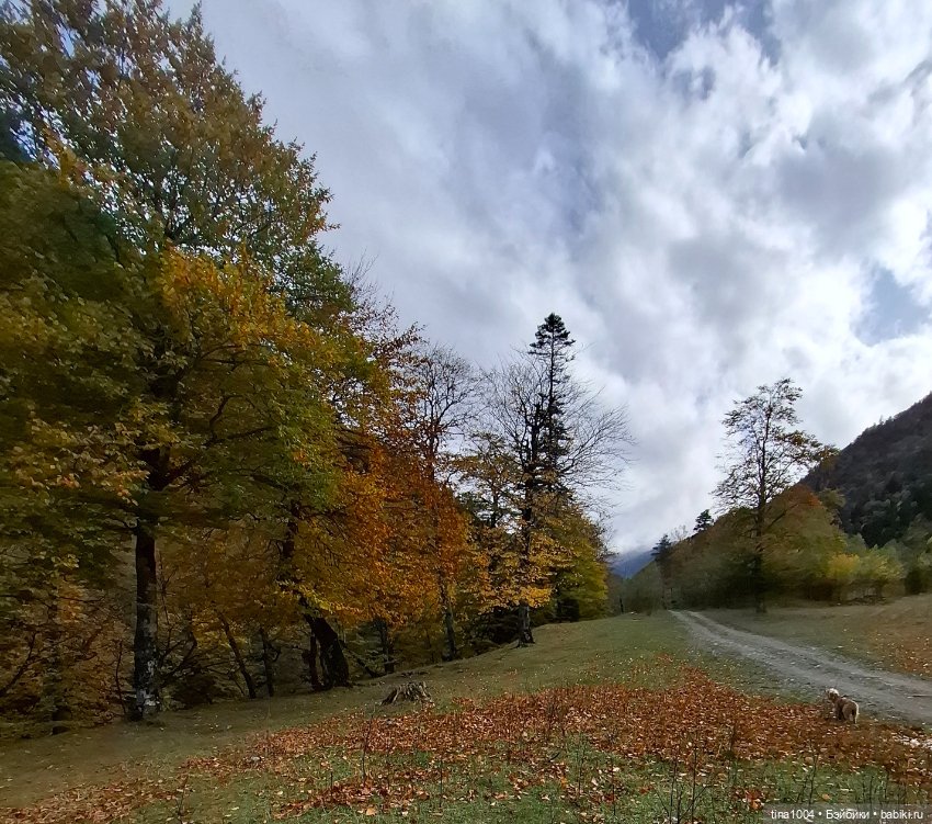 День длинных прогулок — Куклы Ruby Red (Руби Ред) Fashion Friends: Siblies (фото 3)