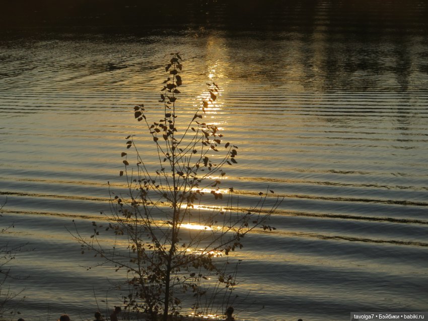 Мадлен из книги 1939 года в осени 2025