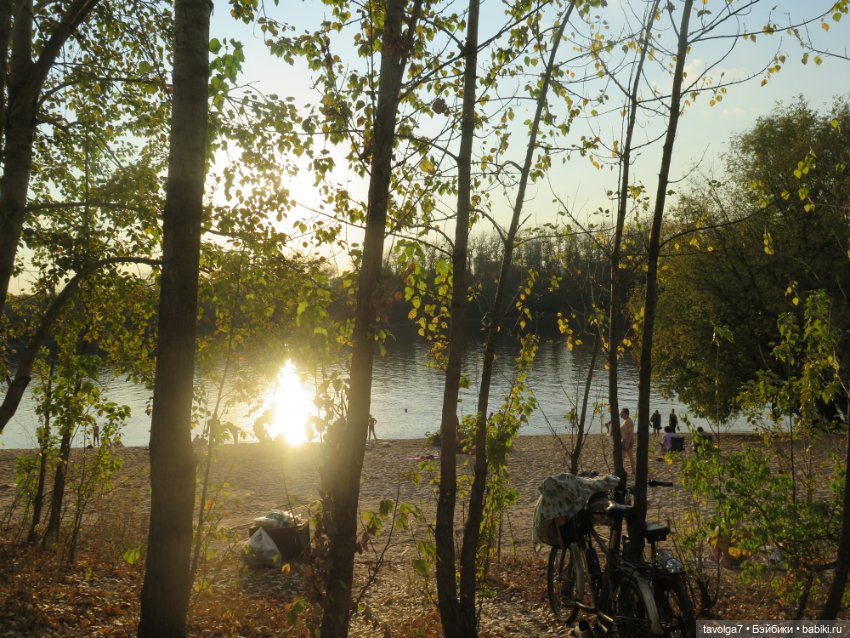 Мадлен из книги 1939 года в осени 2025