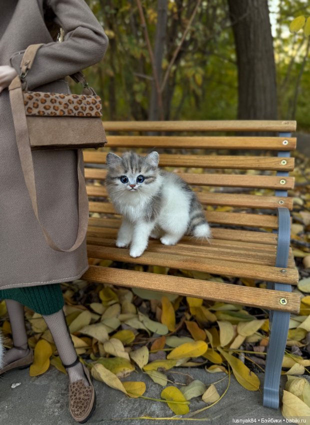 Осень 2025 — Авторские куклы BJD (БЖД) у нас дома: фото (фото 4)