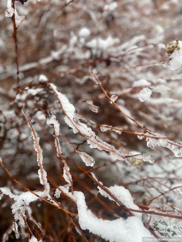 Первый снег ( Littleberry и DuoDing ) (фото 10)