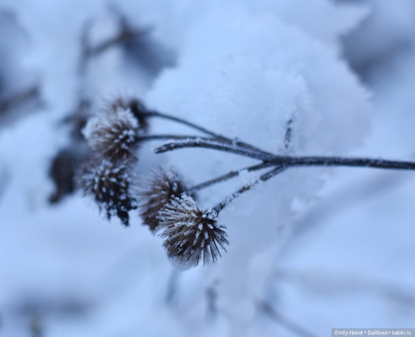 Первый снег — Разные шарнирные куклы (не БЖД): редкие (фото 10)