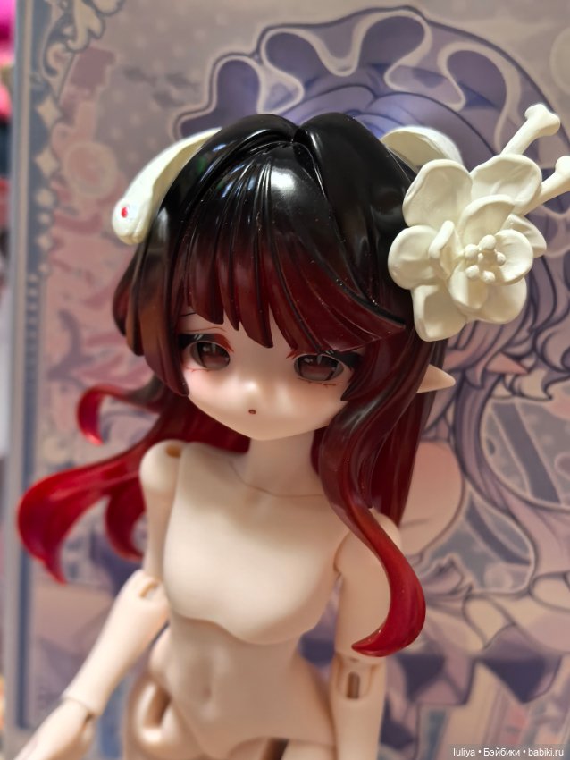 Морские самоцветы, Люпина