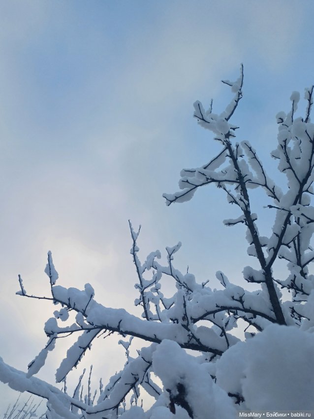 Прогулка в первый зимний день