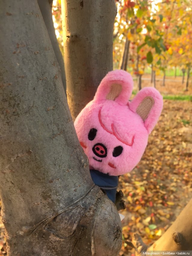 Dwaekki, Осенняя игра света (фото 10)