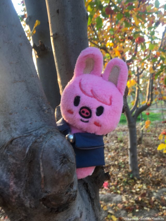 Dwaekki, Осенняя игра света