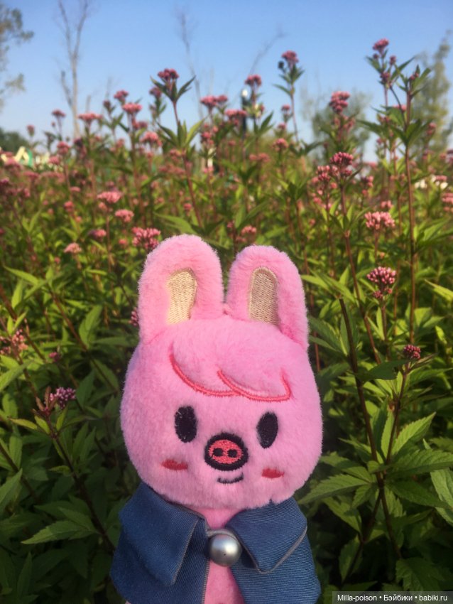 Dwaekki, Осенняя игра света (фото 5)