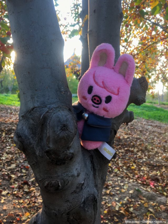 Dwaekki, Осенняя игра света