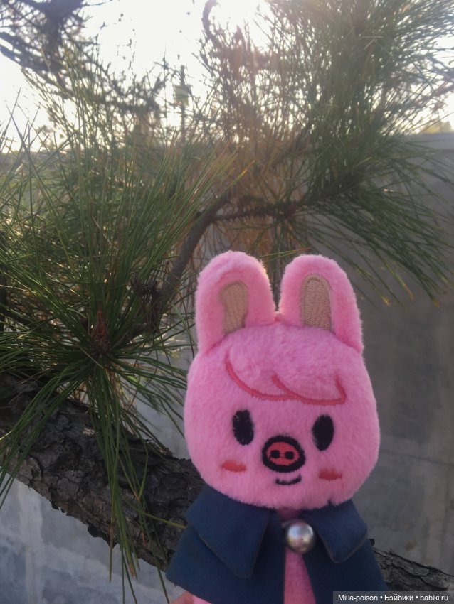 Dwaekki, Осенняя игра света (фото 2)