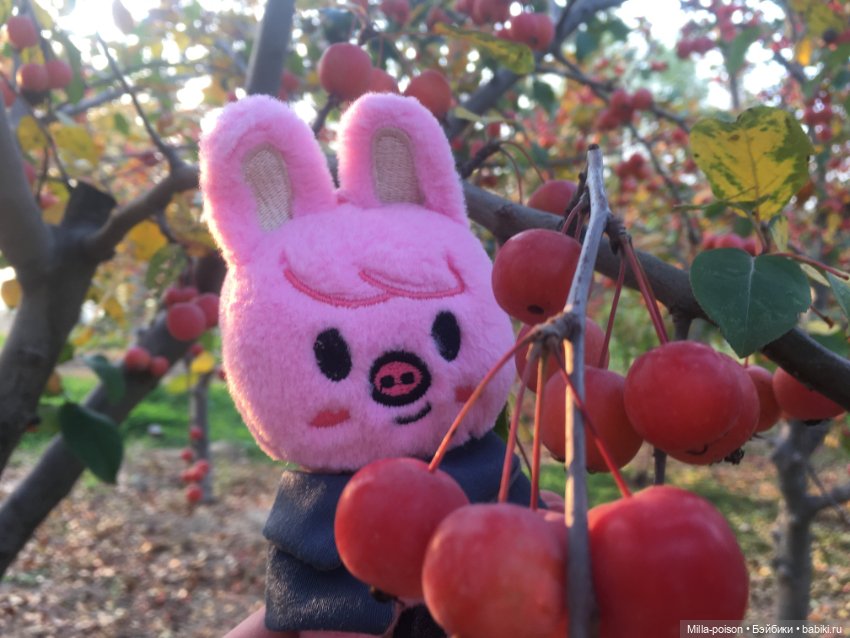 Dwaekki, Осенняя игра света