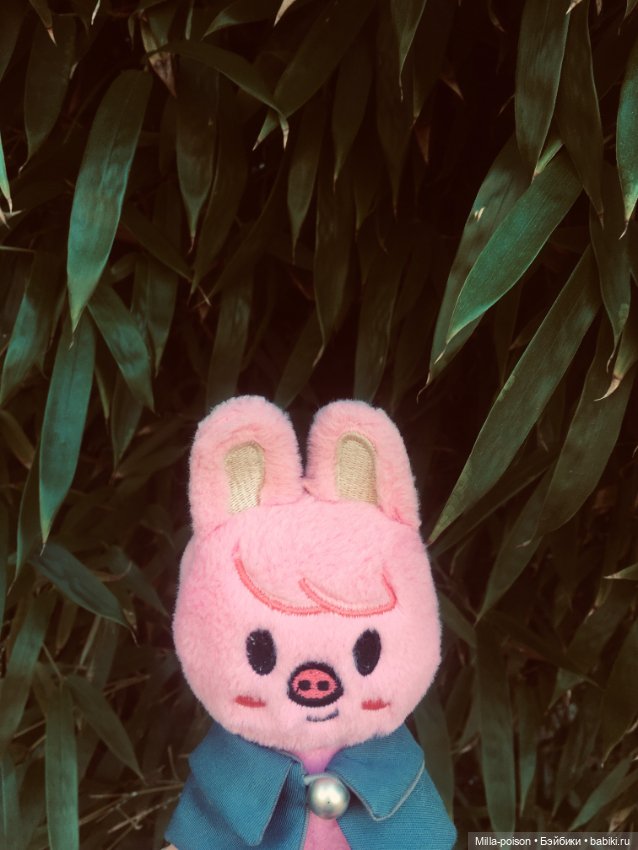 Dwaekki, Осенняя игра света (фото 7)