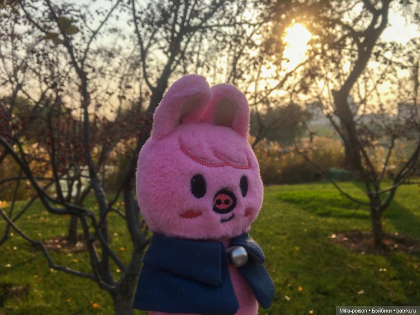 Dwaekki, Осенняя игра света