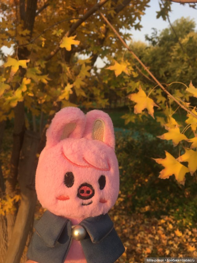 Dwaekki, Осенняя игра света