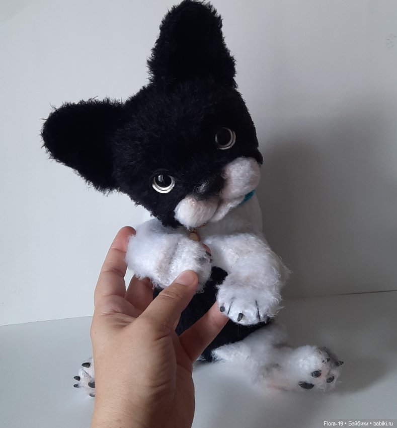 Афоня французский бульдог (фото 2)