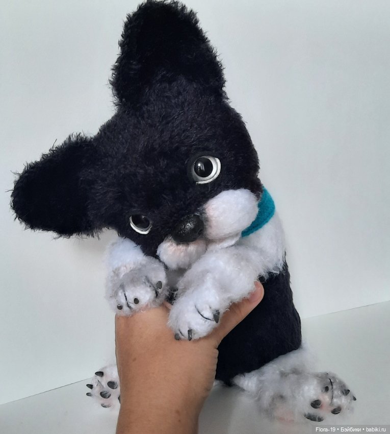 Афоня французский бульдог (фото 4)