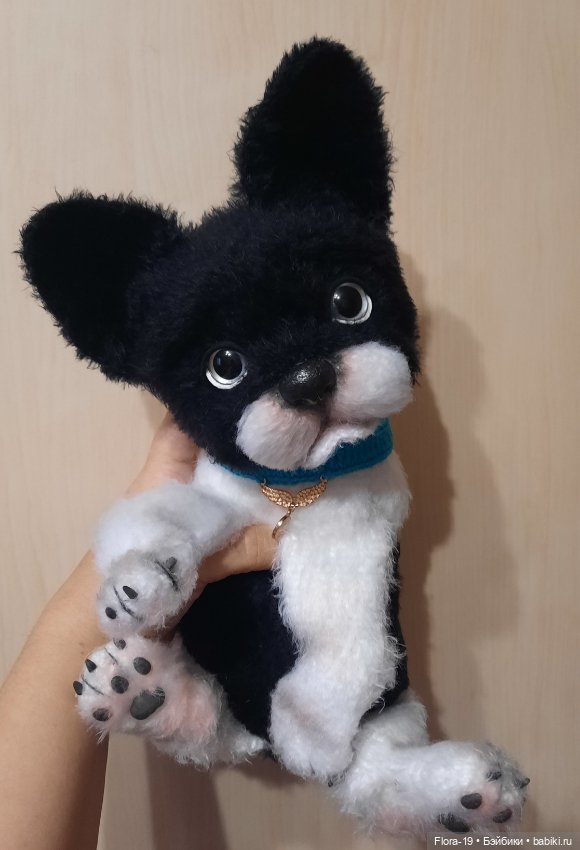 Афоня французский бульдог (фото 5)