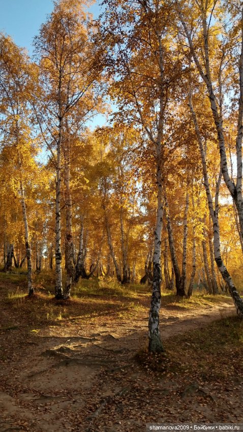 Золотая осень — Туризм и путешествия: фотоотчеты из поездок