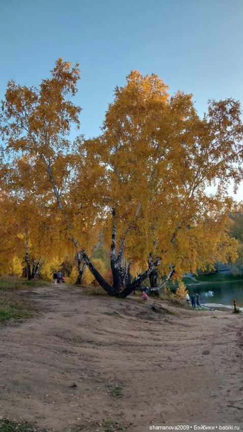 Золотая осень — Туризм и путешествия: фотоотчеты из поездок (фото 4)
