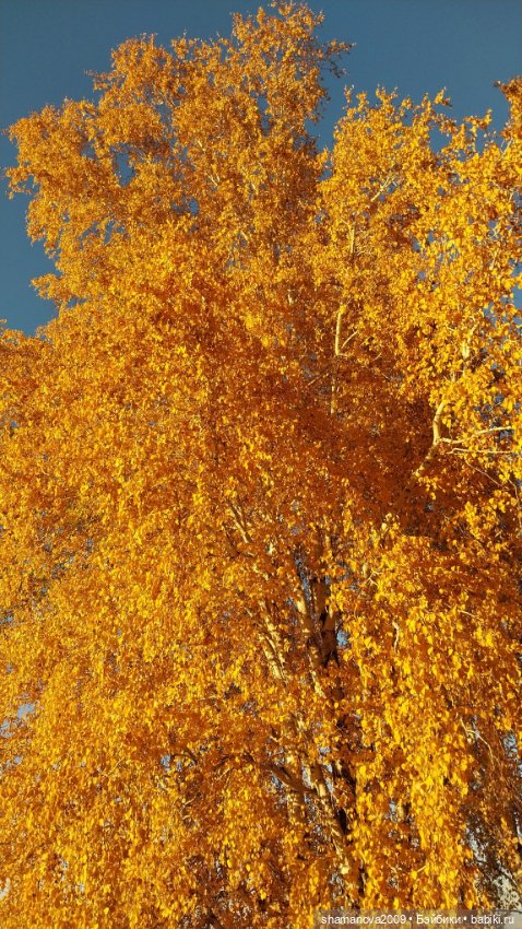 Золотая осень — Туризм и путешествия: фотоотчеты из поездок