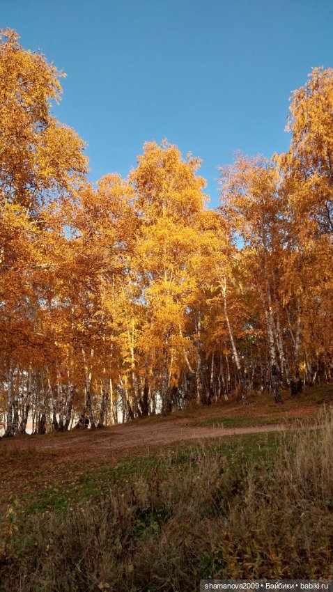 Золотая осень — Туризм и путешествия: фотоотчеты из поездок (фото 2)