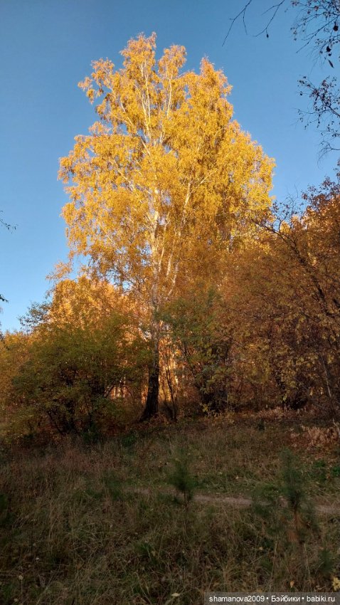 Золотая осень — Туризм и путешествия: фотоотчеты из поездок (фото 3)