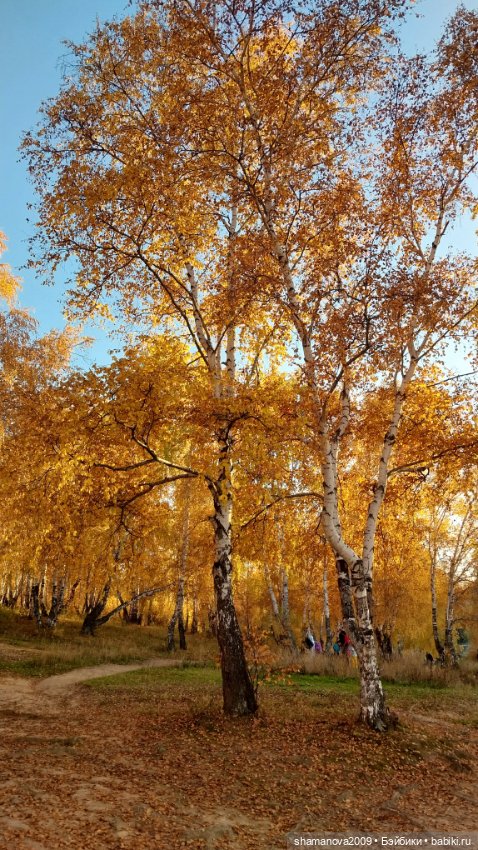 Золотая осень — Туризм и путешествия: фотоотчеты из поездок (фото 9)