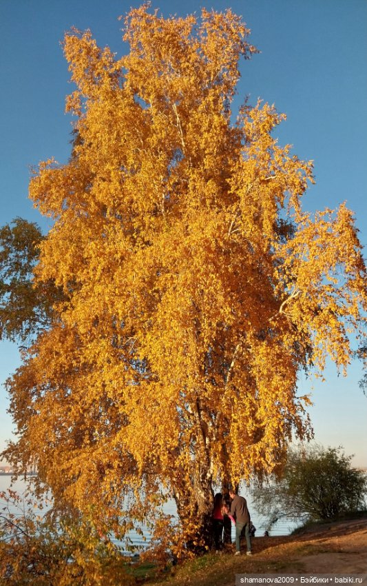 Золотая осень — Туризм и путешествия: фотоотчеты из поездок