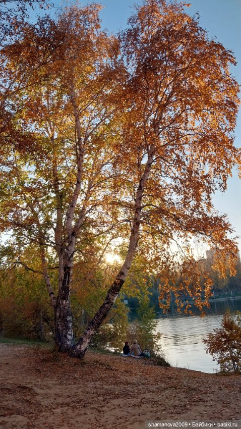 Золотая осень — Туризм и путешествия: фотоотчеты из поездок (фото 7)