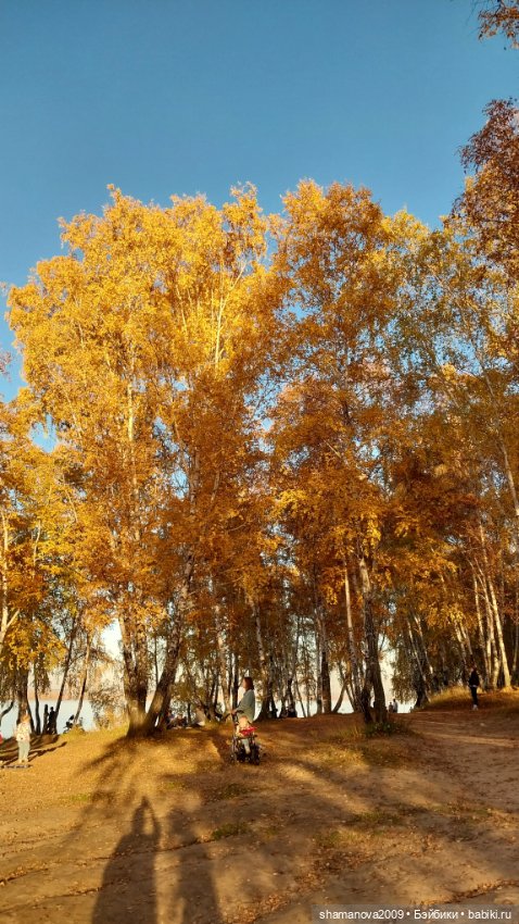 Золотая осень — Туризм и путешествия: фотоотчеты из поездок (фото 10)