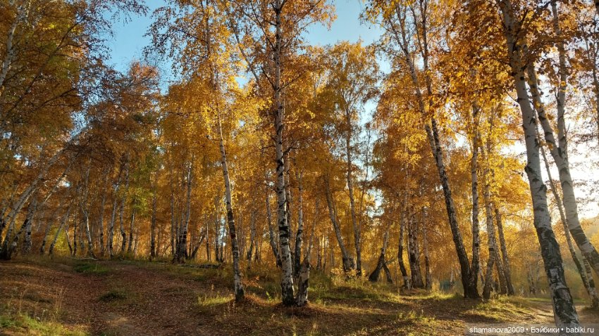 Золотая осень — Туризм и путешествия: фотоотчеты из поездок