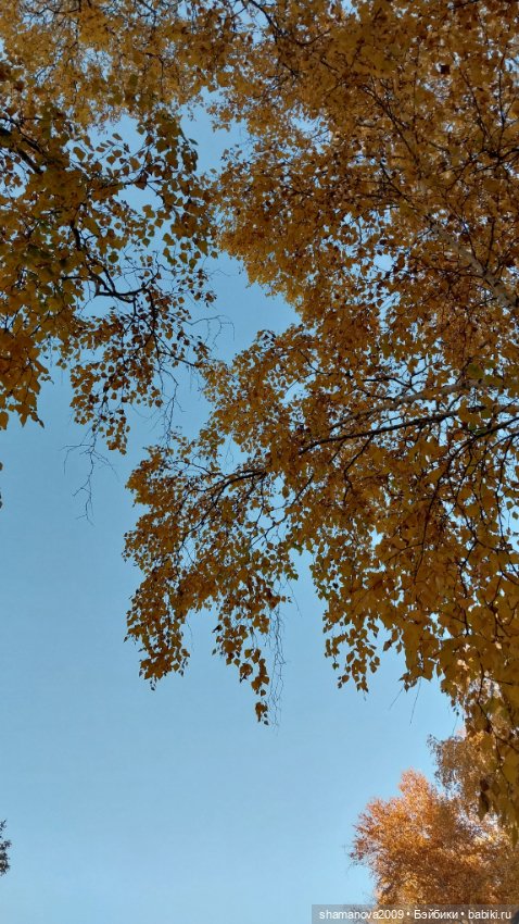 Золотая осень — Туризм и путешествия: фотоотчеты из поездок (фото 5)
