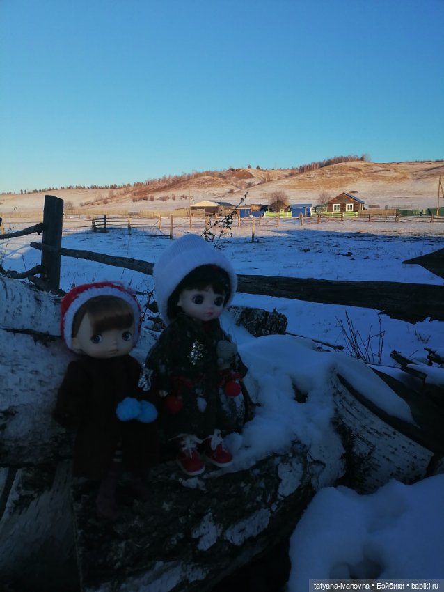И снова пришла зима — Игровые куклы разных производителей (Разное): редкие бренды (фото 5)