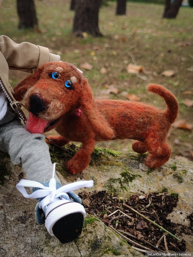 Такса Клякса и ее грустный хозяин (фото 4)