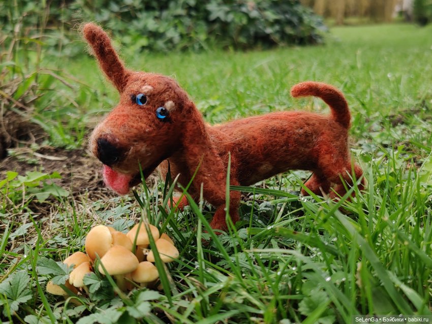 Такса Клякса и ее грустный хозяин (фото 6)