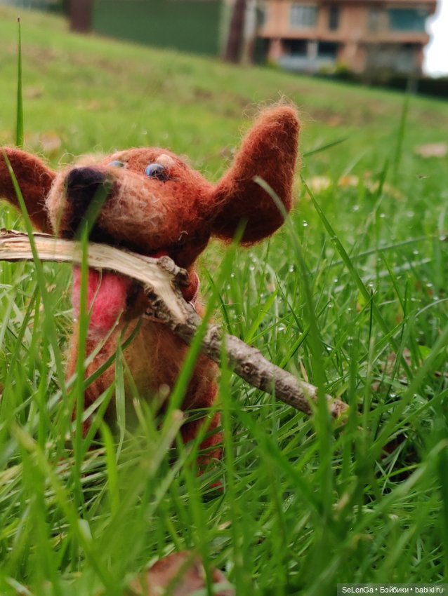 Такса Клякса и ее грустный хозяин (фото 9)