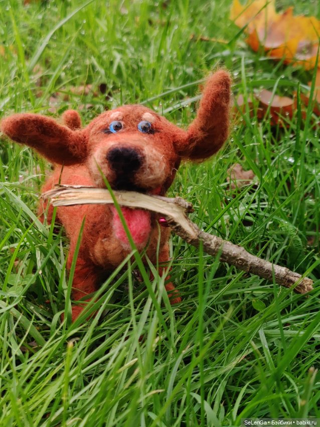 Такса Клякса и ее грустный хозяин (фото 10)