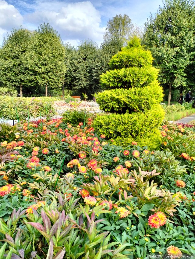 Изабелла от Heidi Plusczok в парке Горького