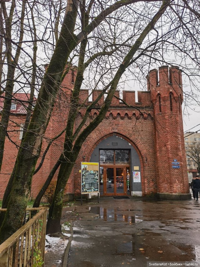 Снежинка и Бутерброд — Домашние фото авторских кукол: личные коллекции