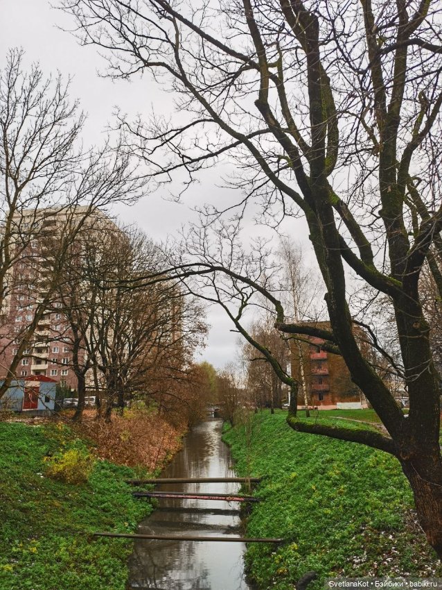 Снежинка и Бутерброд — Домашние фото авторских кукол: личные коллекции (фото 10)