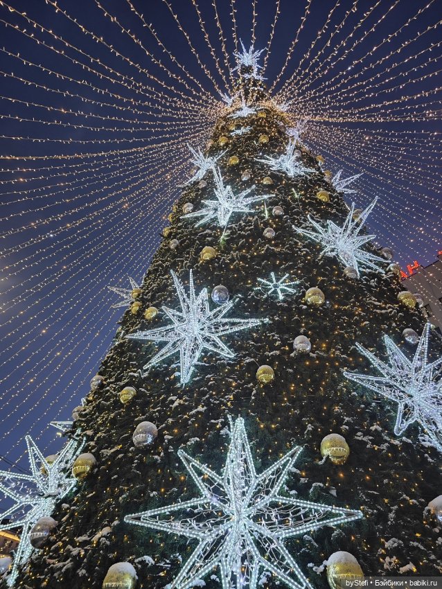 Путешествие медвежонка — Туризм и путешествия: фотоотчеты из поездок