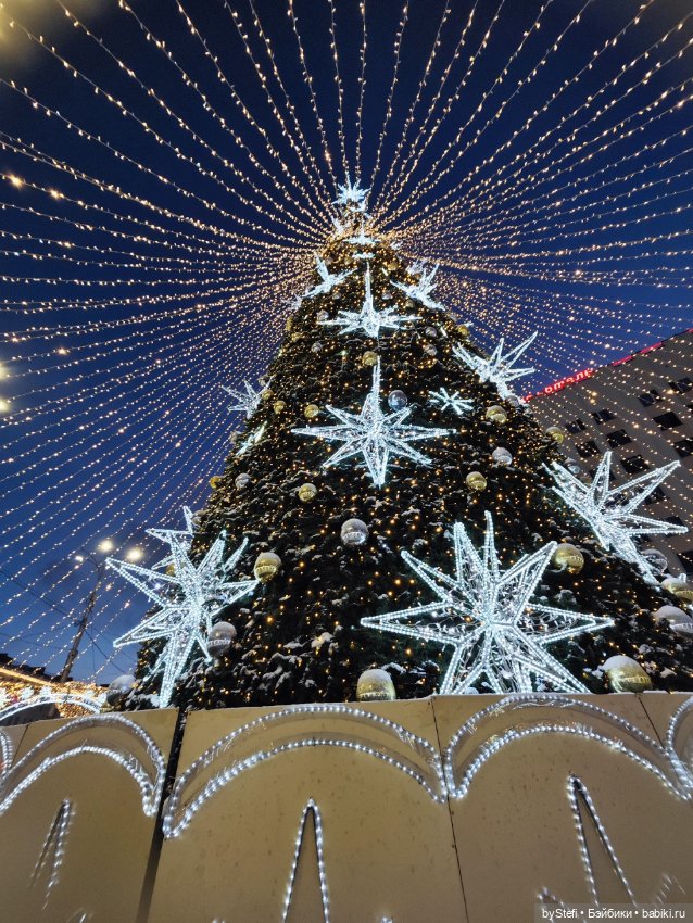 Путешествие медвежонка — Туризм и путешествия: фотоотчеты из поездок