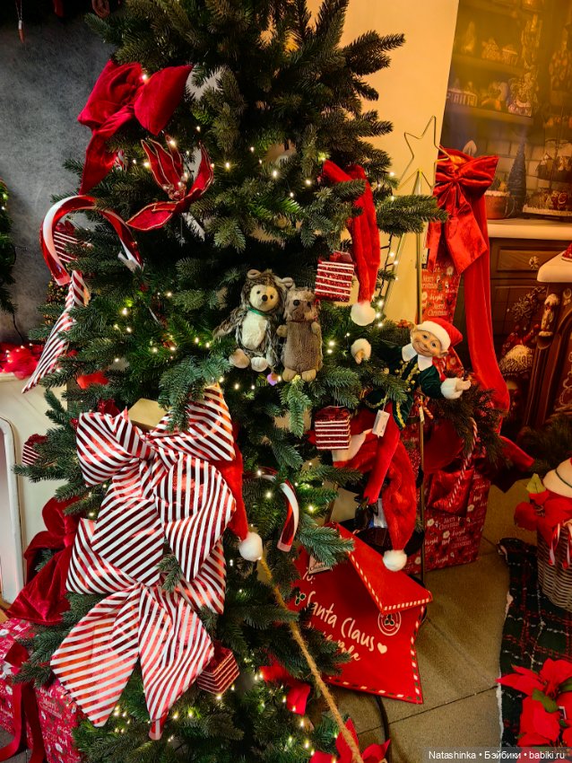 Музыкальная история 178 — Туризм и путешествия: фотоотчеты из поездок (фото 3)