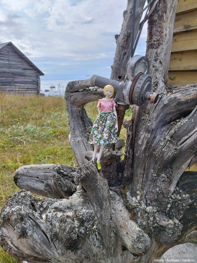 Хроники Исабель. Воспоминание о лете