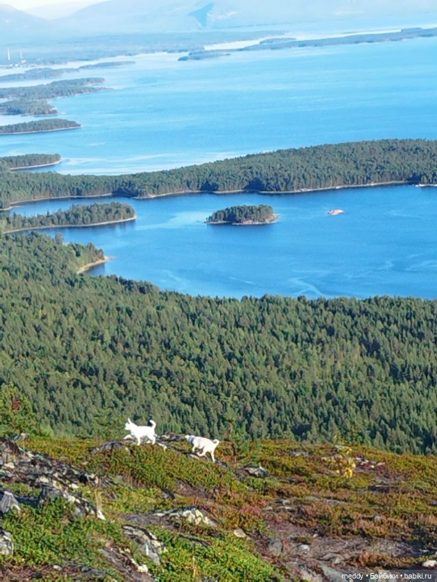 Хроники Исабель. Воспоминание о лете