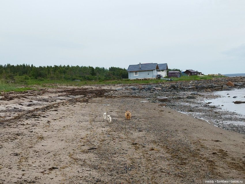 Хроники Исабель. Воспоминание о лете